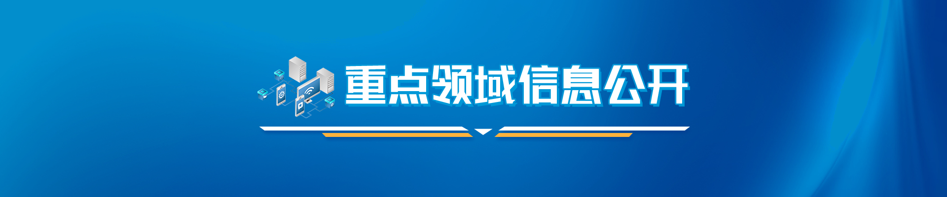 重点领域信息公开