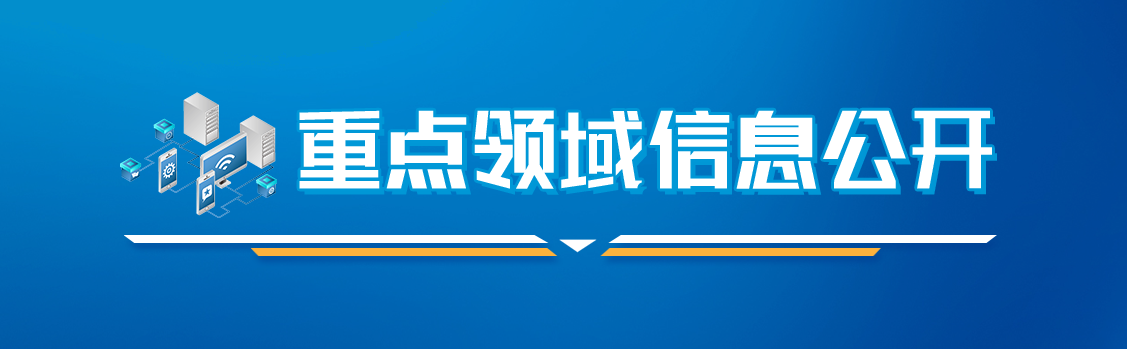 重点领域信息公开