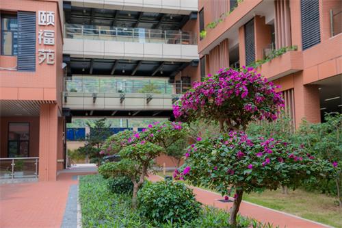 深圳市养老护理院图片1