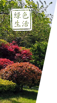 绿色生活