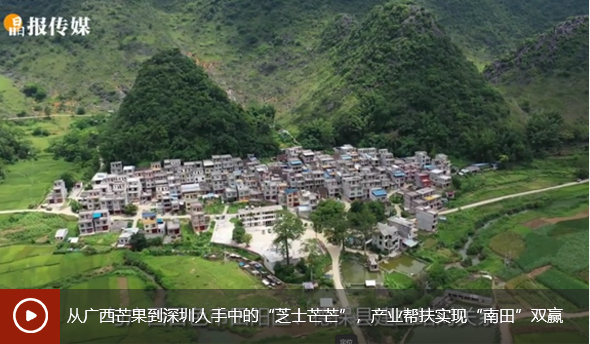 从广西芒果到深圳人手中的“芝士芒芒”，产业帮扶实现“南田”双赢